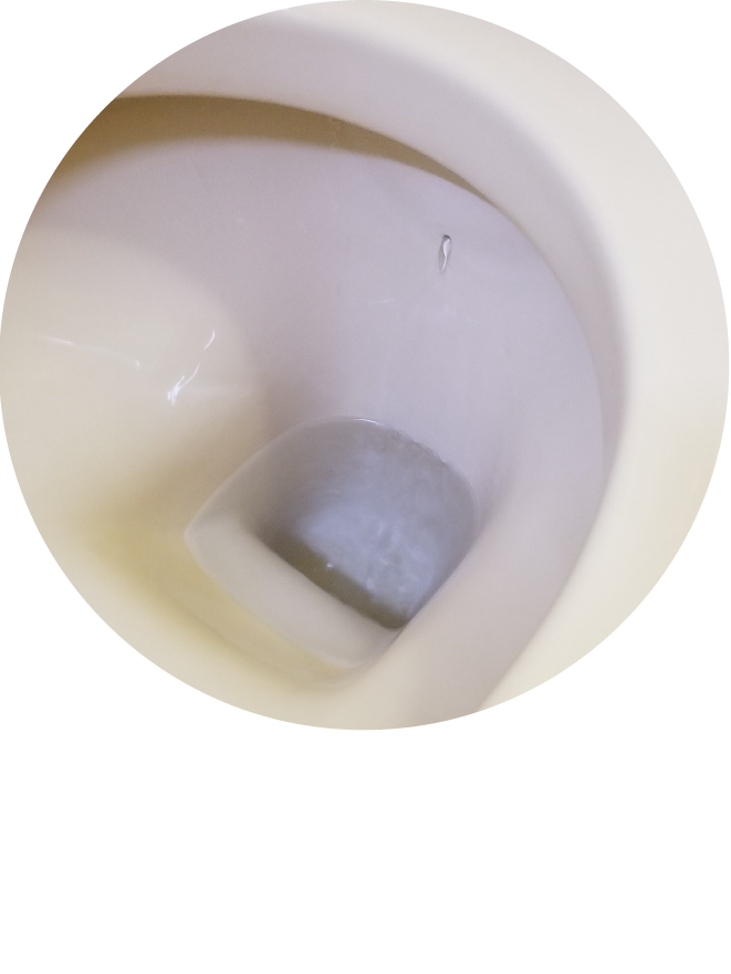 おそうじアライグマ：ご家庭のそうじ・トイレクリーニング