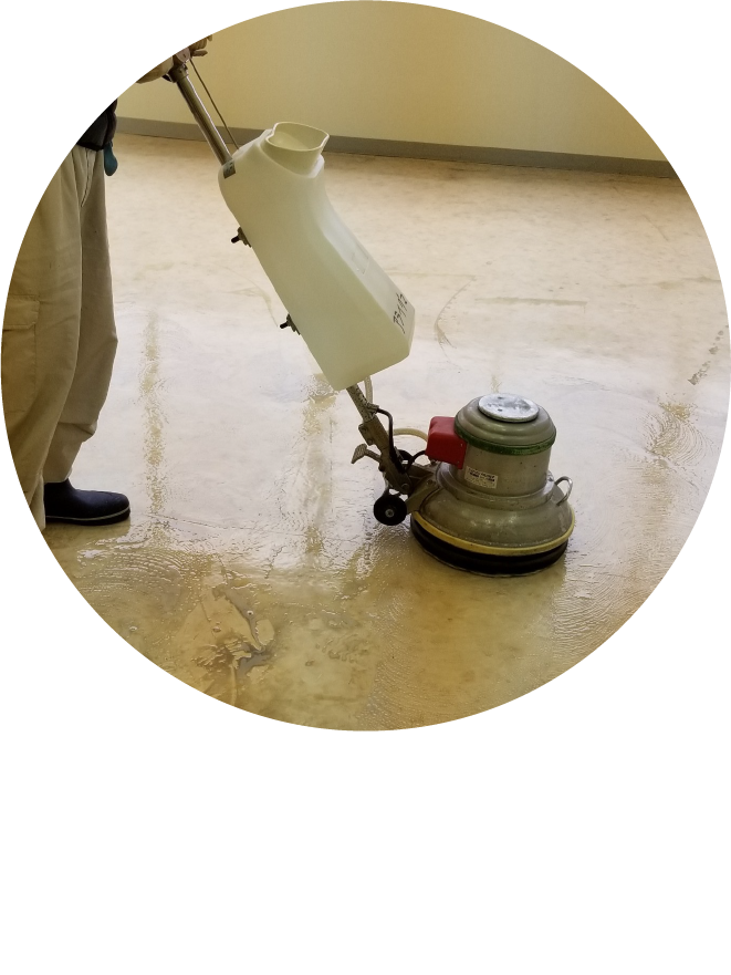 おそうじアライグマ：店舗・オフィスのそうじ・フロアクリーニング