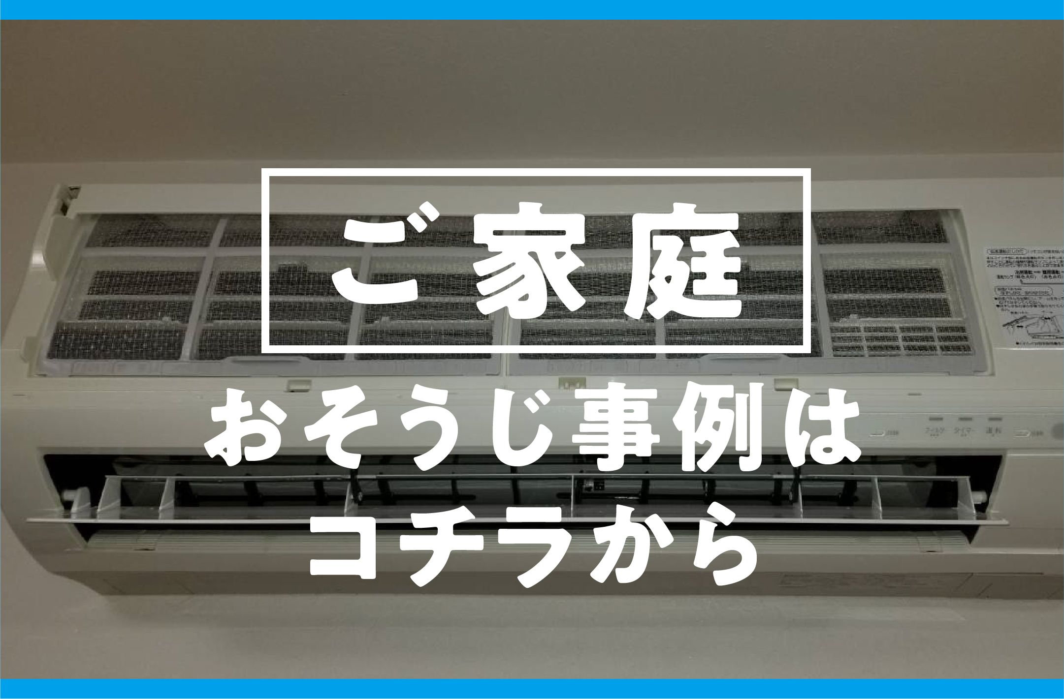 おそうじアライグマ：ご家庭